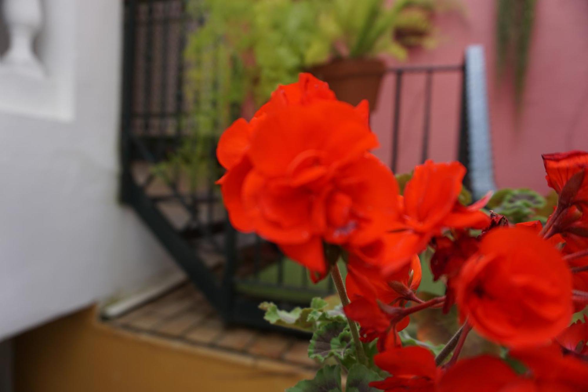 Rompeolas Playa Guest house